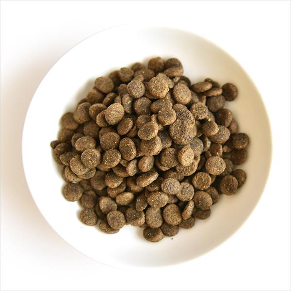 john-coco_tac0100270-600g_1_d_20240823134913