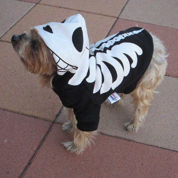 ハロウィンにも ドクロパーカー 骨 骸骨 Fbサイズ Pad Fb 個性派犬服店johnlazz 通販 Yahoo ショッピング