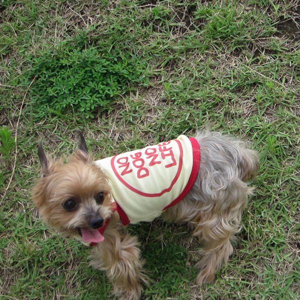 ロックな犬服 クール生地 タンクトップ 2号サイズ Buyee Buyee Japanese Proxy Service Buy From Japan Bot Online