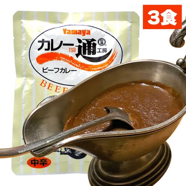 秘伝配合 カレー通 ビーフカレー レトルトカレー 中辛 200g×3食 セット 詰め合わせ