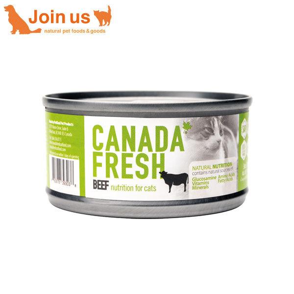 ★数量限定クーポン★ペットカインド　カナダフレッシュ　キャットフード缶　ビーフ　85g【キャットフード・ペットフード・ウェットフード・猫用品・猫・ねこ・ペット用品・缶詰】