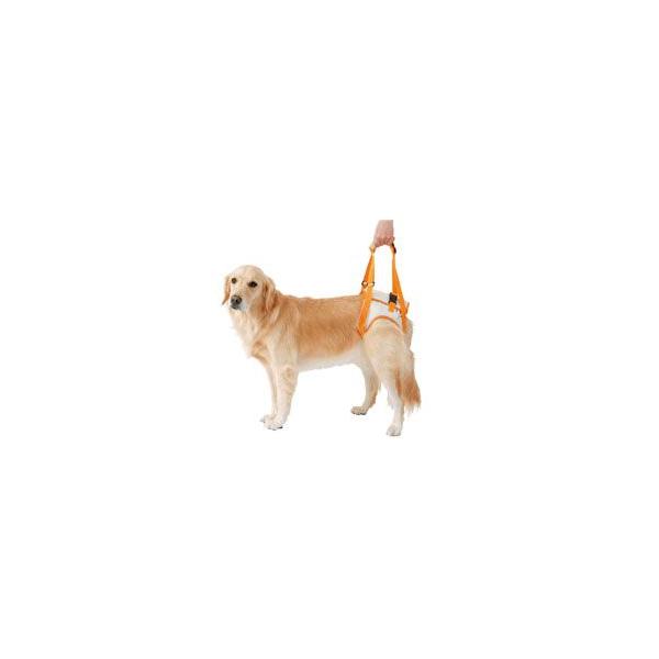 yeBI s⏕n[lXi㑫pjLTCY