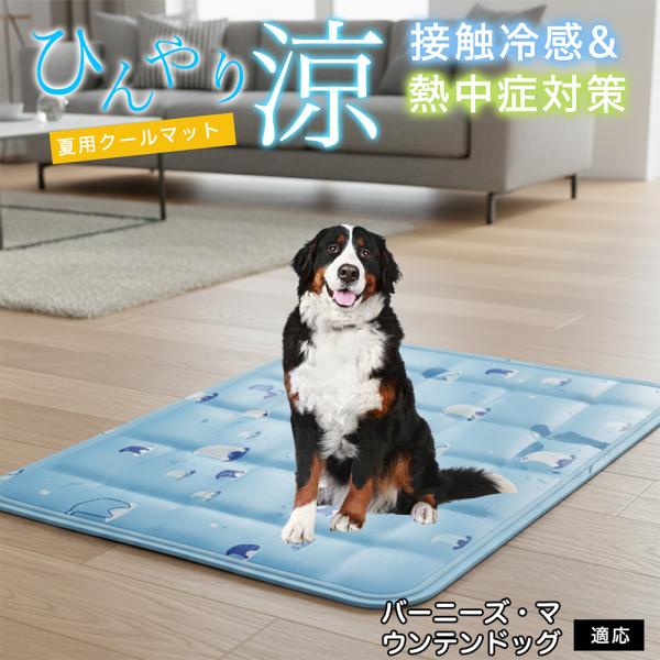 バーニーズマウンテンドッグ犬 バーニーズ ペット クールマット ひんやりマット 犬 猫 夏用 冷感 ジェル 暑さ対策 熱中症予防 防水 丈夫