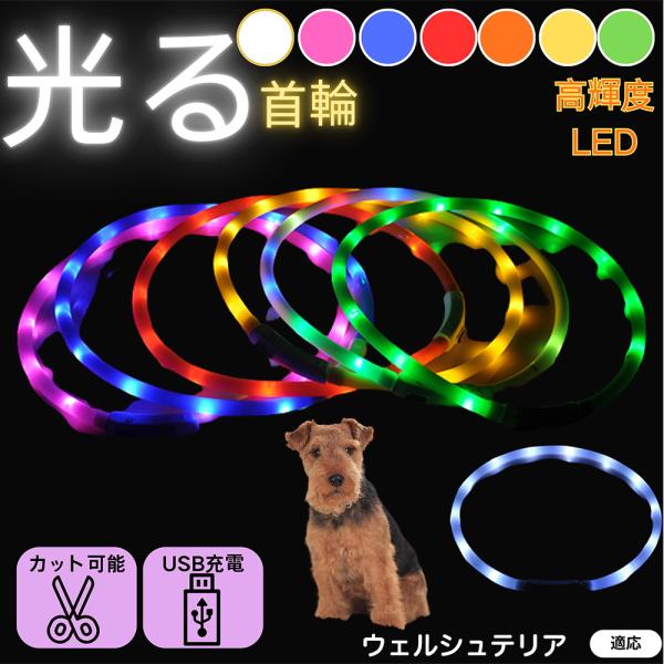 適応ペットウェルシュテリア犬 ウェルシュ商品名 USB充電式LED発光首輪（夜間お散歩ライト）商品説明 360°高輝度発光で視認性アップ。軽量やわらかシリコン＆生活防水。USB充電で電池不要。点灯／高速点滅／低速点滅の3モードで夜散歩・アウ...