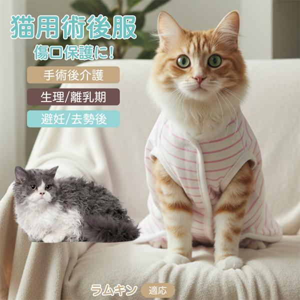 適応ペット ラムキン猫種 ラムキン 商品名　エリザベスカラー代替 皮膚保護 介護服商品説明　手術後や皮膚トラブル時の猫・小型犬用回復服。体を包み舐め・引っかき対策をサポート。肌面はコットンで吸汗通気、季節を問わず快適。着用のまま排泄可。背中...