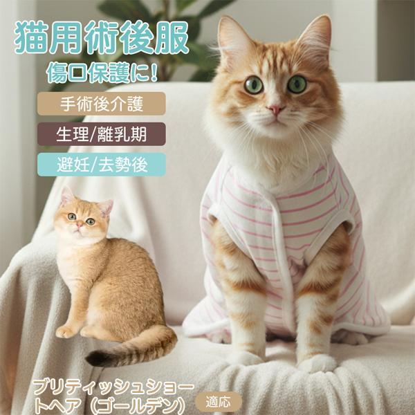 適応ペット ブリティッシュショートヘアゴールデン猫 商品名　エリザベスカラー代替 皮膚保護 介護服商品説明　手術後や皮膚トラブル時の猫・小型犬用回復服。体を包み舐め・引っかき対策をサポート。肌面はコットンで吸汗通気、季節を問わず快適。着用の...