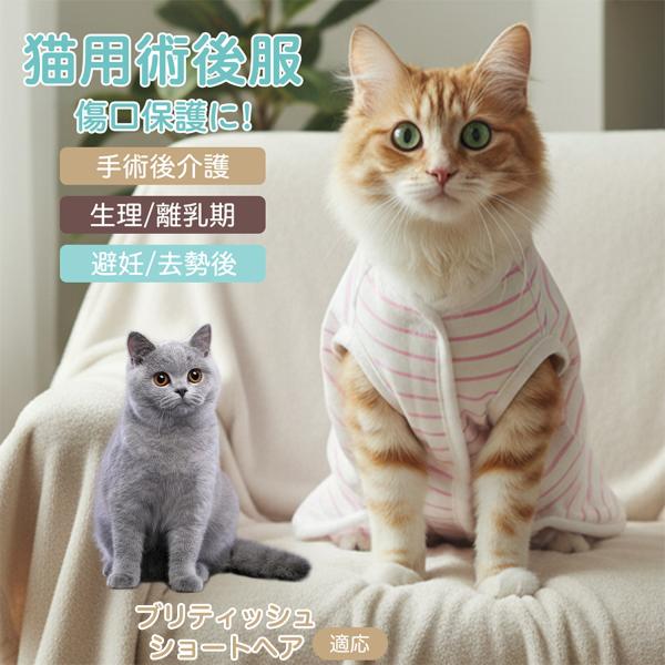 適応ペット ブリティッシュショートヘア猫 ブリショ 商品名　エリザベスカラー代替 皮膚保護 介護服商品説明　手術後や皮膚トラブル時の猫・小型犬用回復服。体を包み舐め・引っかき対策をサポート。肌面はコットンで吸汗通気、季節を問わず快適。着用の...