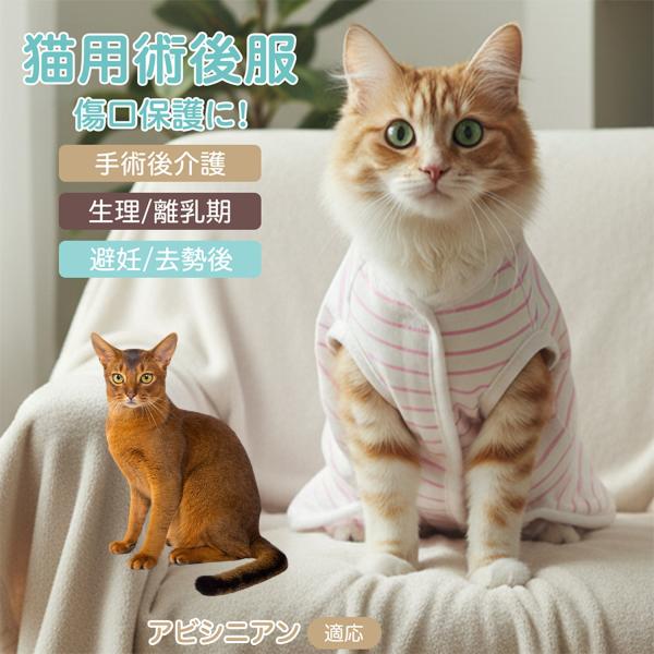 適応ペット アビシニアン猫 アビ 商品名　エリザベスカラー代替 皮膚保護 介護服商品説明　手術後や皮膚トラブル時の猫・小型犬用回復服。体を包み舐め・引っかき対策をサポート。肌面はコットンで吸汗通気、季節を問わず快適。着用のまま排泄可。背中・...