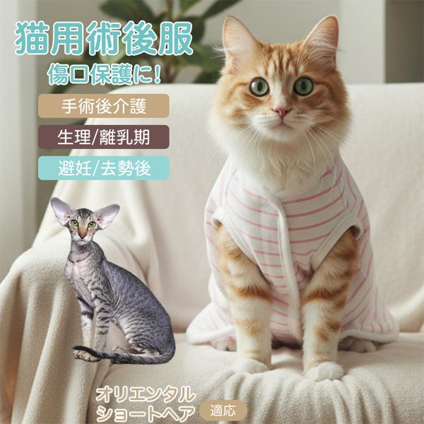 適応ペット オリエンタルショートヘア猫 オリショ 商品名　エリザベスカラー代替 皮膚保護 介護服商品説明　手術後や皮膚トラブル時の猫・小型犬用回復服。体を包み舐め・引っかき対策をサポート。肌面はコットンで吸汗通気、季節を問わず快適。着用のま...