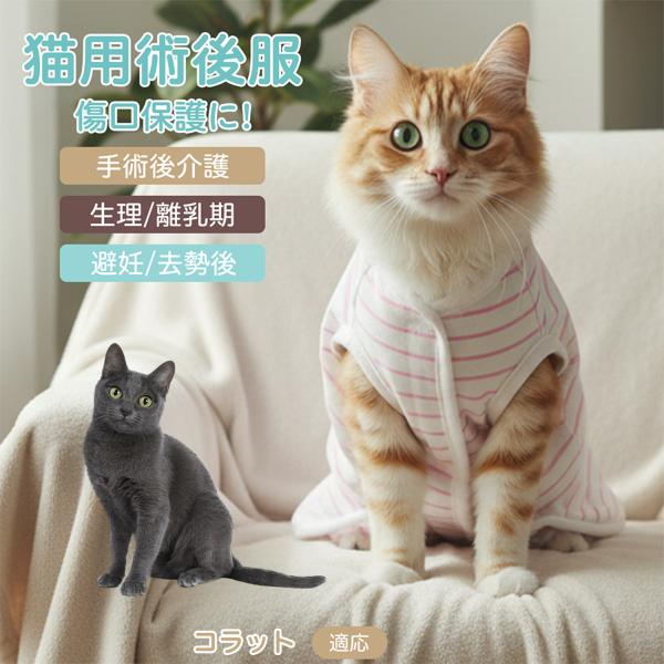 適応ペット コラット猫種 コラット 商品名　エリザベスカラー代替 皮膚保護 介護服商品説明　手術後や皮膚トラブル時の猫・小型犬用回復服。体を包み舐め・引っかき対策をサポート。肌面はコットンで吸汗通気、季節を問わず快適。着用のまま排泄可。背中...