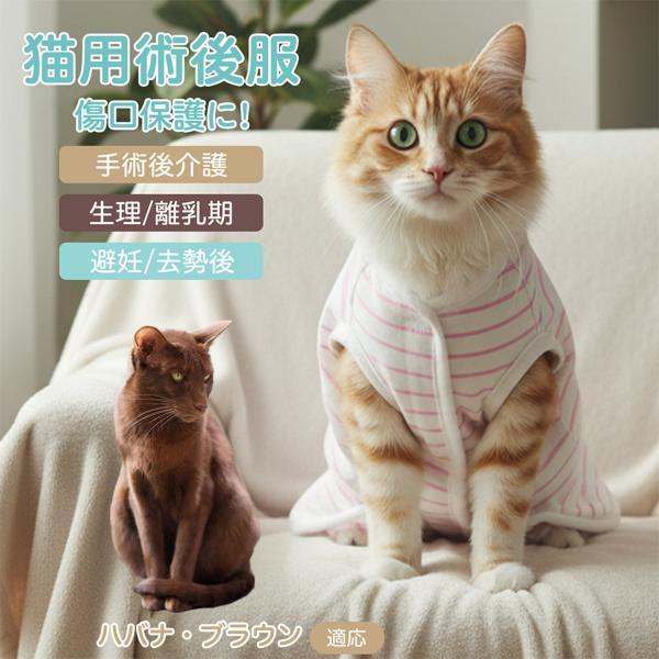 適応ペット ハバナブラウン猫 ハバナ 商品名　エリザベスカラー代替 皮膚保護 介護服商品説明　手術後や皮膚トラブル時の猫・小型犬用回復服。体を包み舐め・引っかき対策をサポート。肌面はコットンで吸汗通気、季節を問わず快適。着用のまま排泄可。背...
