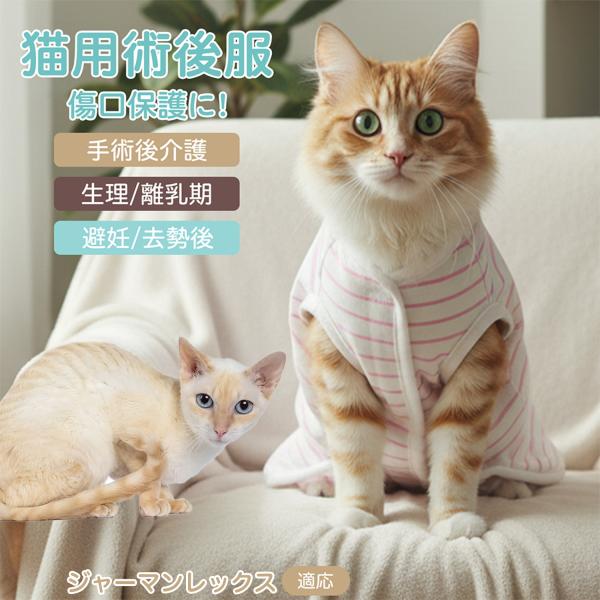 適応ペット ジャーマンレックス猫 ジャーマン 商品名　エリザベスカラー代替 皮膚保護 介護服商品説明　手術後や皮膚トラブル時の猫・小型犬用回復服。体を包み舐め・引っかき対策をサポート。肌面はコットンで吸汗通気、季節を問わず快適。着用のまま排...