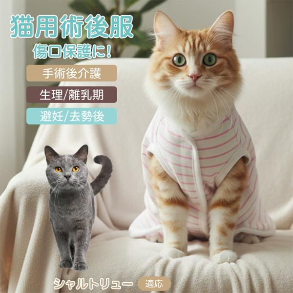 適応ペット シャルトリュー猫種 シャルトリュー 商品名　エリザベスカラー代替 皮膚保護 介護服商品説明　手術後や皮膚トラブル時の猫・小型犬用回復服。体を包み舐め・引っかき対策をサポート。肌面はコットンで吸汗通気、季節を問わず快適。着用のまま...