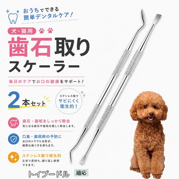 トイプードル犬 トイプー 犬 歯石取り スケーラー 犬用 2本セット 自宅 猫 歯垢 除去 歯磨き 器具 デンタルケア