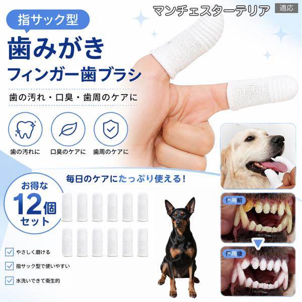 マンチェスターテリア犬 マンチェ 犬用歯ブラシ 指サック 12枚セット フィンガー 歯磨き 猫 犬 デンタルケア 6.5cm