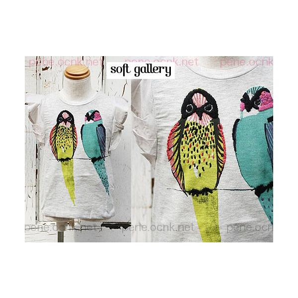 yzsoft gallery \tgM[ TVc Lotus Top BUDERIGAR CRhJ