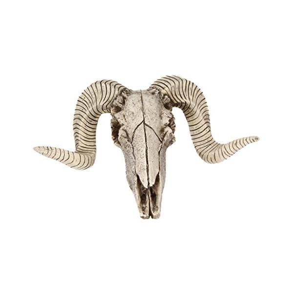チベットヤギ 壁掛け スカルホーン 山羊頭蓋骨角模型標本頭骨壁飾り