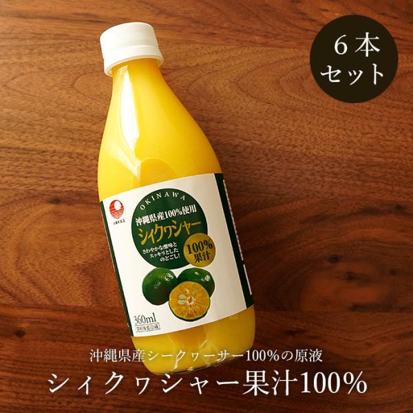 V[N[T[ʏ`100 360ml × 6{ t YV[N[T[W[X 