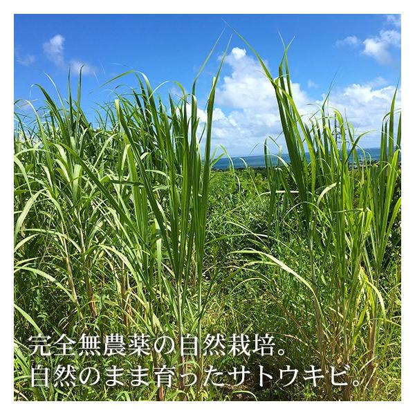 生黒糖 130g 2袋 無農薬 自然栽培さとうきび使用の純黒糖 Buyee Buyee 日本の通販商品 オークションの代理入札 代理購入