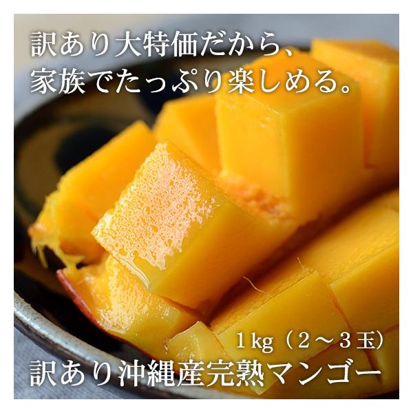 94%OFF!】 マンゴー 1kg 2-4玉 沖縄県産 宜野座村産 i9tmg.com.br