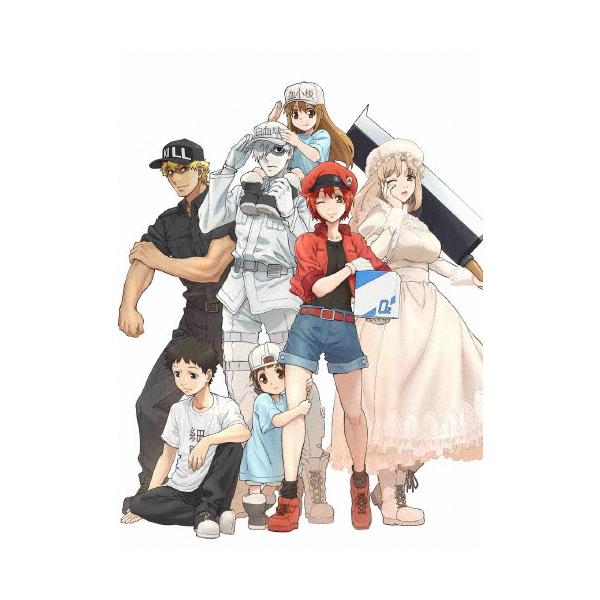 枚数限定][限定版]はたらく細胞 Blu-ray Disc BOX【完全生産限定版