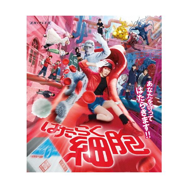 791★はたらく細胞 シリーズ★全巻セット 佐藤健 永野芽郁 Amazon.co.jp: はたらく細胞 見開きフライヤー15枚 佐藤健
