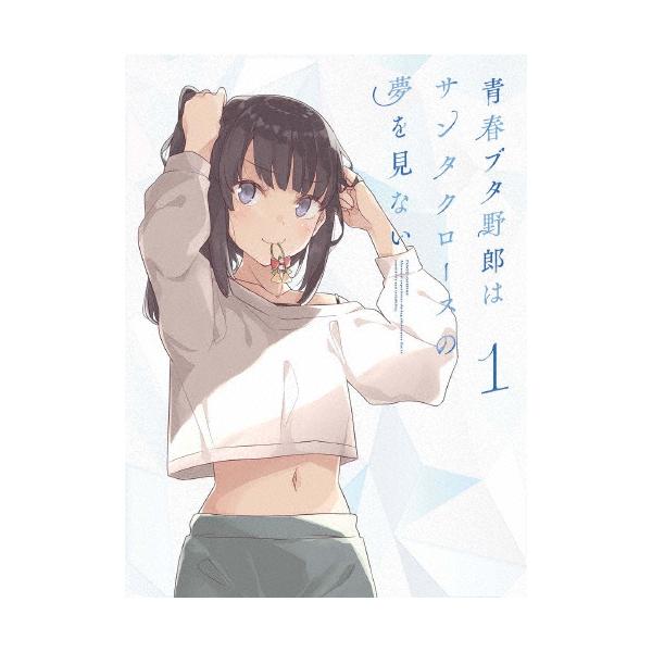 S*n様 青春ブタ野郎　DVD 6巻限定BOX付 S*n様 青春ブタ野郎 DVD 6巻限定BOX付 S*n