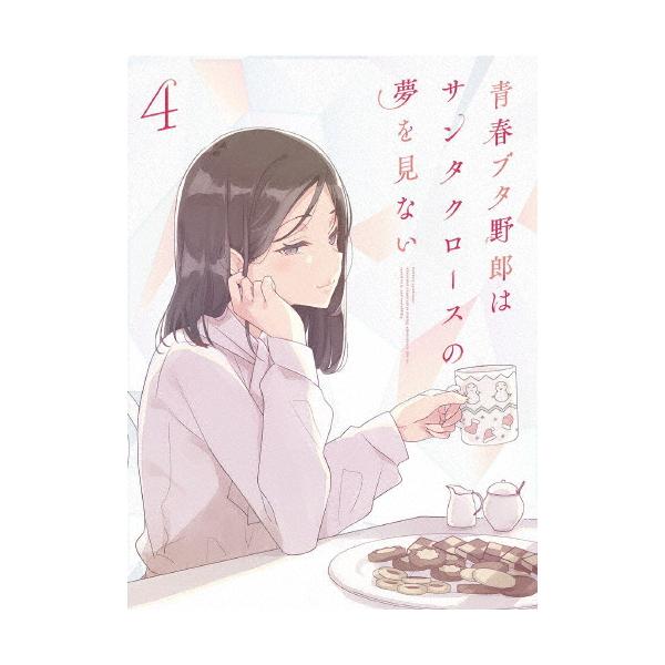 枚数限定][限定版]青春ブタ野郎はサンタクロースの夢を見ない 4(完全