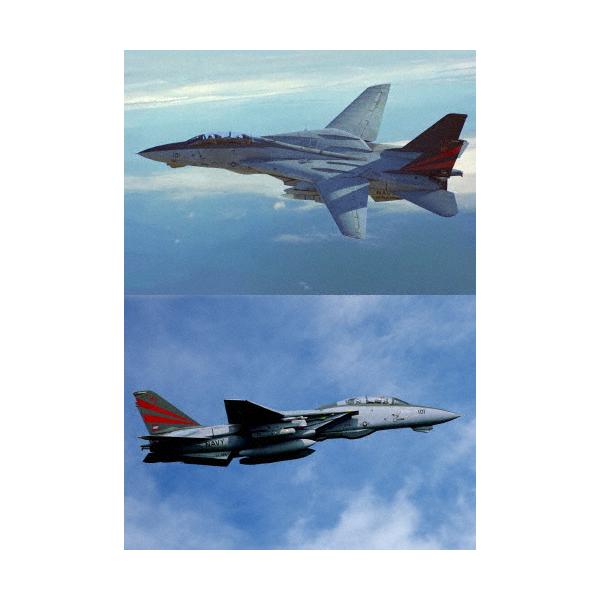 ◆品　番：EGDD-0091◆発売日：2024年07月05日発売◆出荷目安：１〜２週間◆エフ１４エートムキャットファイナル