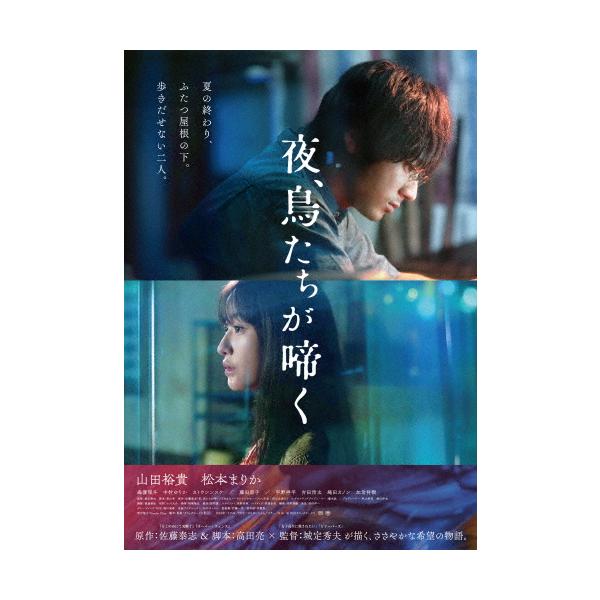 夜、鳥たちが啼く 通常版/山田裕貴,松本まりか[DVD]【返品種別A】