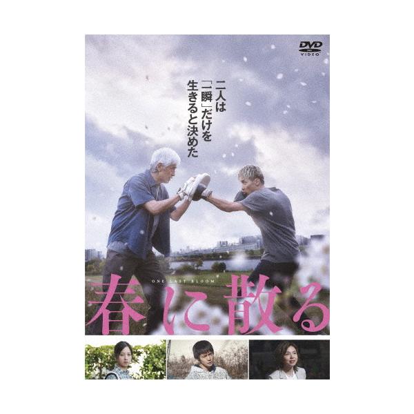 春に散る DVDスタンダード・エディション/佐藤浩市[DVD]【返品種別A】