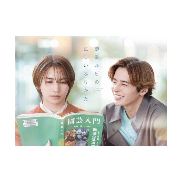 恋愛ルビの正しいふりかた DVD BOX/岩橋玄樹,相馬理[DVD]【返品種別A