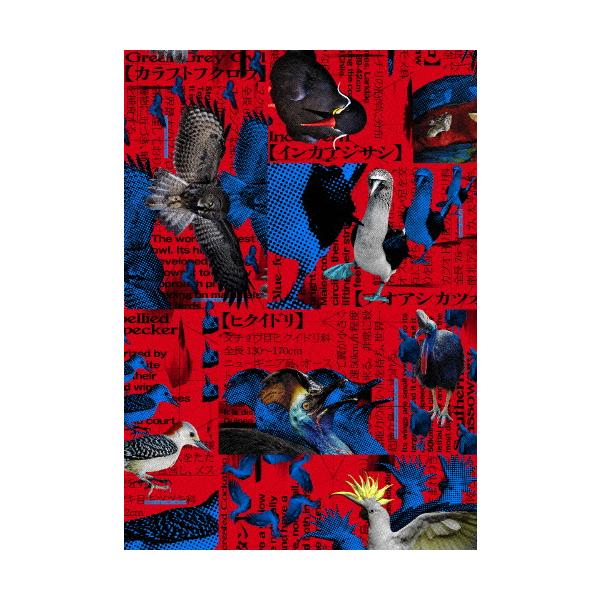 『シナントロープ』Blu-ray Box/水上恒司[Blu-ray]【返品種別A】