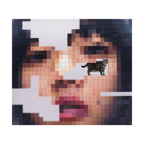 枚数限定][限定盤]猫にジェラシー(初回限定DVD盤)【CD+2DVD