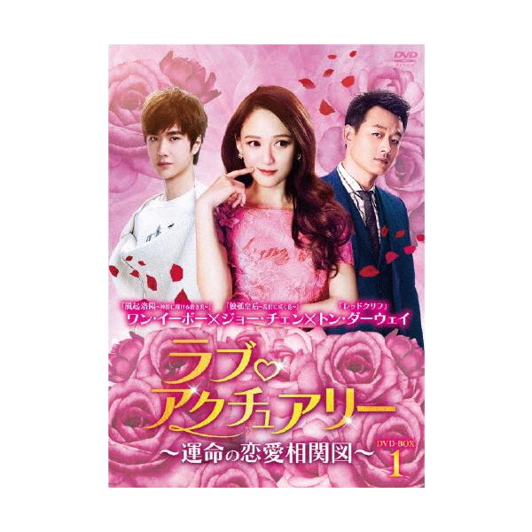 ラブ・アクチュアリー〜運命の恋愛相関図〜DVD-BOX1/ワン・イーボー[DVD]【返品種別A】