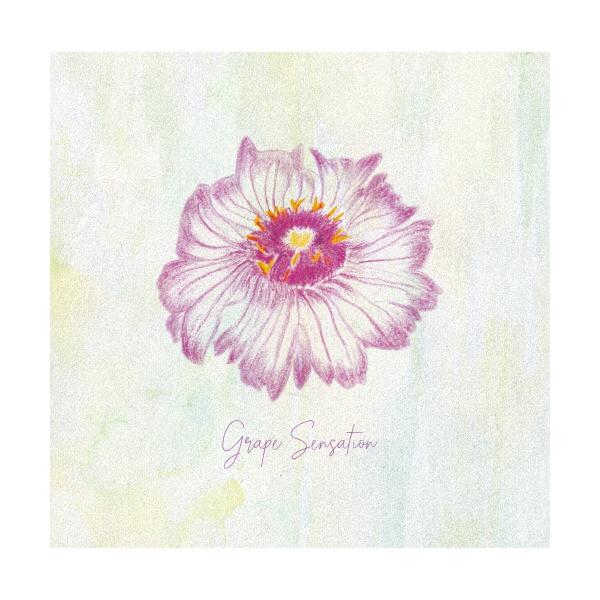 ◆品　番：VICL-65764◆発売日：2023年02月15日発売◆出荷目安：２〜５日◆グレープセンセーション