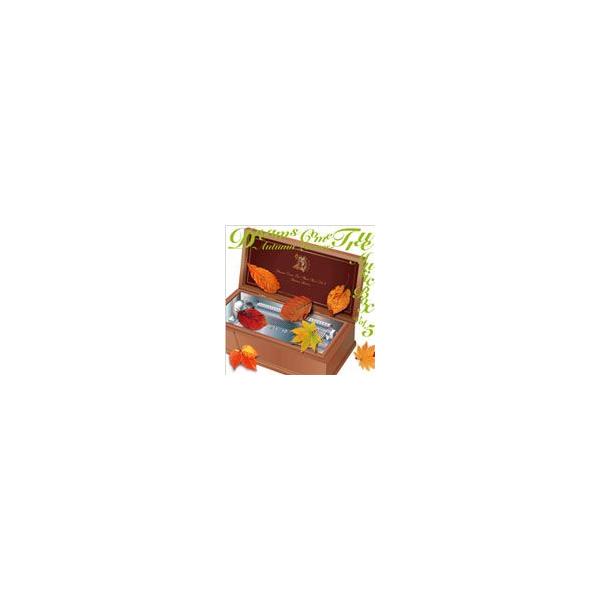 DREAMS COME TRUE MUSIC BOX Vol.5 -AUTUMN LEAVES-/オルゴール[CD]【返品種別A】