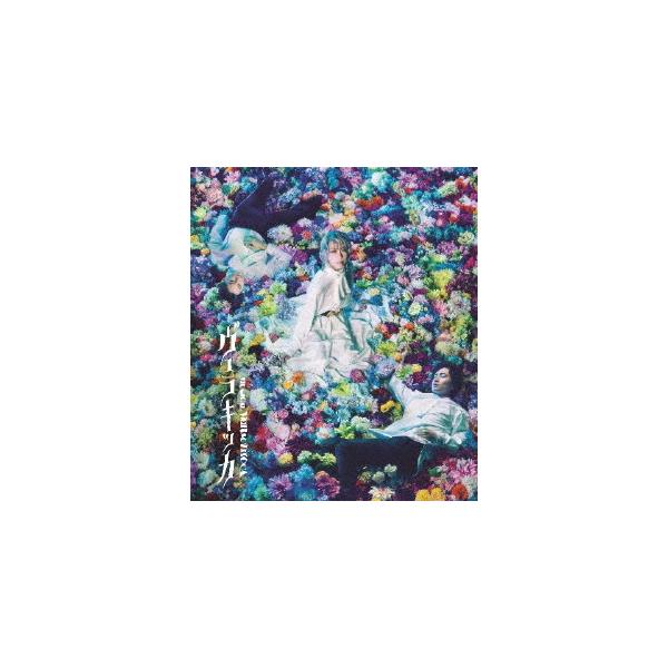 ミュージカル『ヴェラキッカ』Blu-ray 通常版/美弥るりか[Blu-ray]【返品種別A】