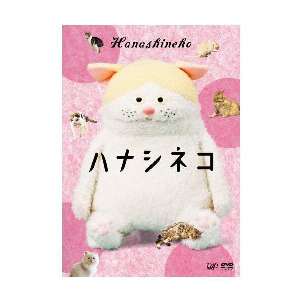 ハナシネコ/市川実日子[DVD]【返品種別A】