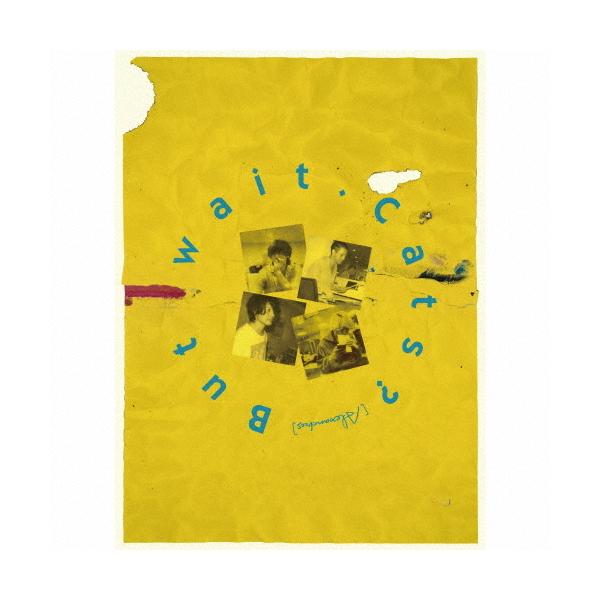 DADAROMA 「これは芸術だ。」スタンチク 通常タイプB CD邦楽 DADAROMA 「これは芸術だ。」スタンチク 通常タイプB CD邦楽 CD