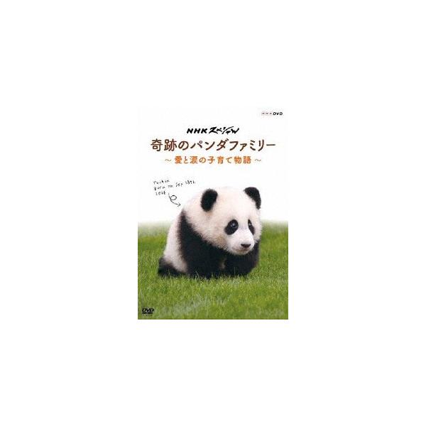NHKスペシャル 奇跡のパンダファミリー 〜愛と涙の子育て物語〜/ドキュメント[DVD]【返品種別A】