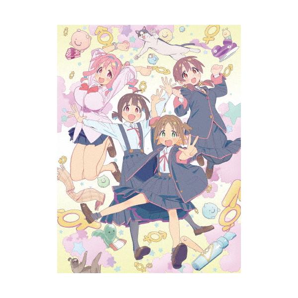 お兄ちゃんはおしまい!」Blu-ray BOX 下巻/アニメーション[Blu-ray