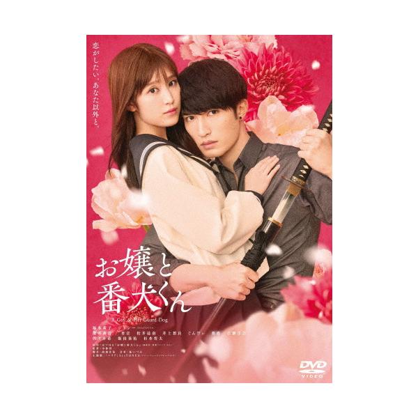 DVD お嬢と番犬くん　レンタル落ち DVD お嬢と番犬くん レンタル落ち DVD お嬢と番犬くん レンタル