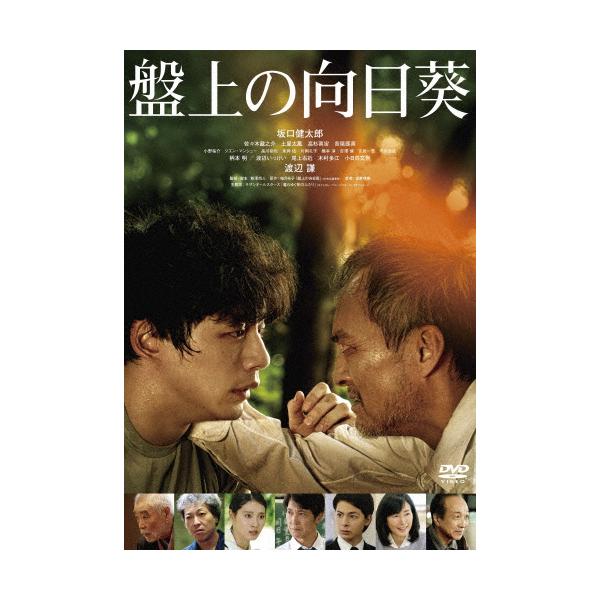 ◆品　番：DASH-0166◆発売日：2026年04月15日発売◆出荷目安：発売日前日◆バンジョウノヒマワリ