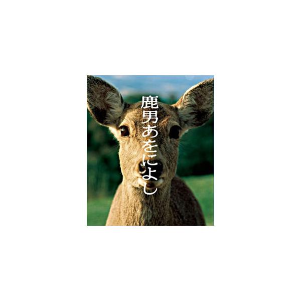 [先着特典付]鹿男あをによし DVD-BOX ディレクターズカット完全版/玉木宏[DVD]【返品種別A】