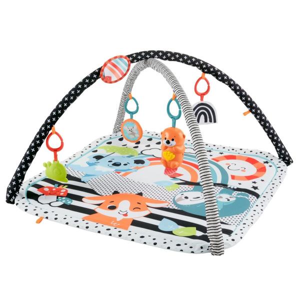 他サイト： フィッシャープライス 感覚を育てよう! ラッコのわくわくミュージカルジム(HBP41) 返品種別Bの商品画像