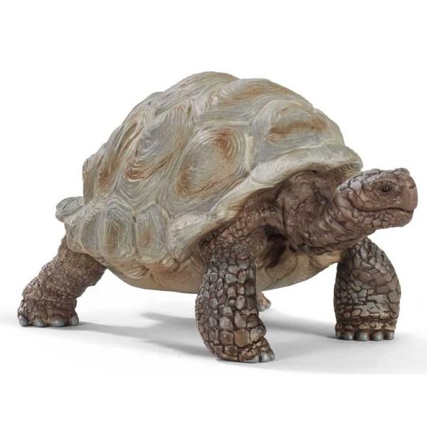 他サイト： シュライヒ Schleich ゾウガメ(14824) 返品種別Bの商品画像