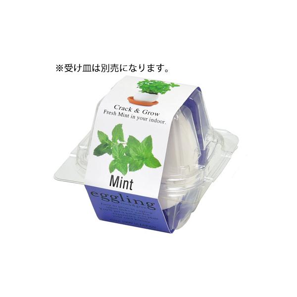 在庫状況：お取り寄せ/7日〜10日で出荷/※受け皿は別売になります。◆まるで本物のたまごのようなegglingシリーズ。◆たまごは陶器でできていて中にはタネと土がセットされています。◆上部をスプーンなどでコンコンと割って水をあげるとかわいい...