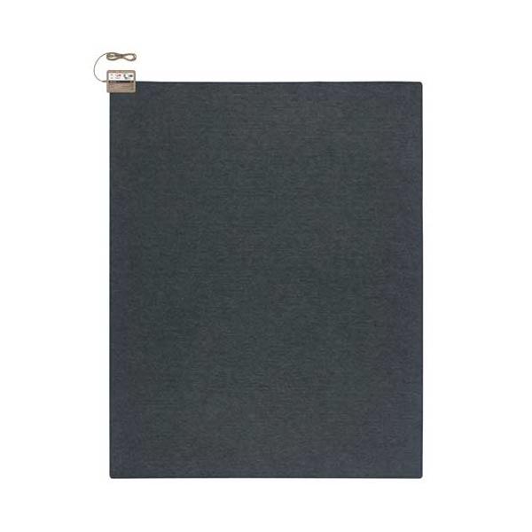 在庫状況：在庫あり/2016年09月 発売/◆省エネモード(室温センサー)＆2面3通り切り替えで節電◆2時間、4時間　切タイマー機能＆8時間切り忘れ防止機能◆ダニ対策機能・本体寸法：241×190cm・消費電力：710W/[DC3NK]