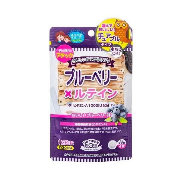 おいしいお手軽サプリ ブルーベリー×ルテイン 120粒1ヶ月分/栄養機能食品/ビタミンA/疲れ目/サプリメント/ブルーベリー味